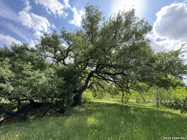 1110 Hartfield Road Seguin, TX 78155