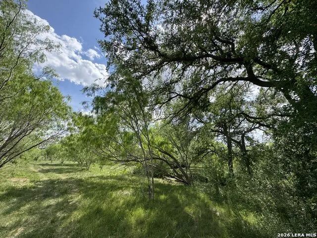 1110 Hartfield Road Seguin, TX 78155