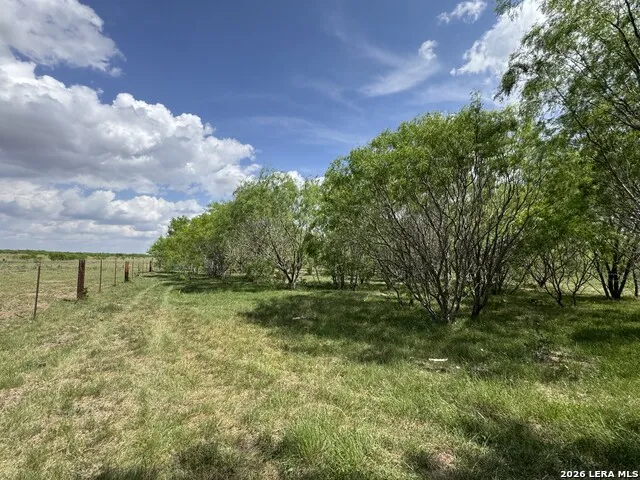 1110 Hartfield Road Seguin, TX 78155