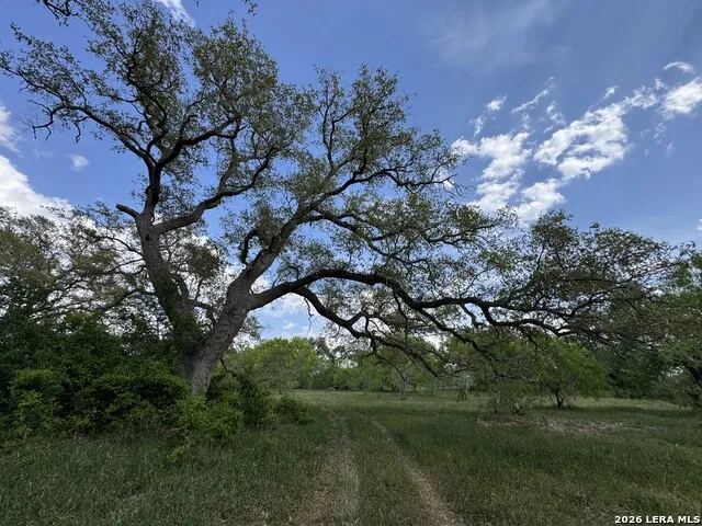 1110 Hartfield Road Seguin, TX 78155