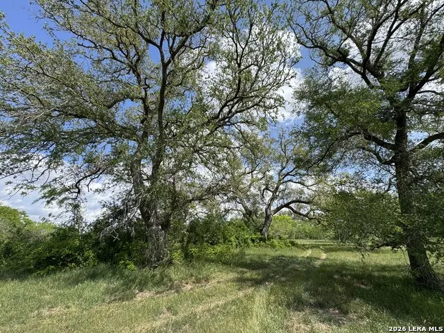 1110 Hartfield Road Seguin, TX 78155