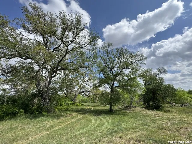 1110 Hartfield Road Seguin, TX 78155