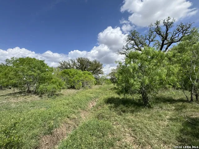 1110 Hartfield Road Seguin, TX 78155