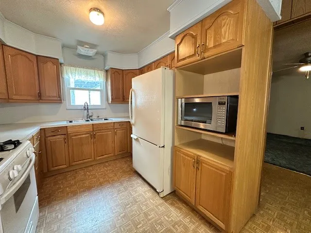 303 S 22nd Street Kingsville, TX 78363