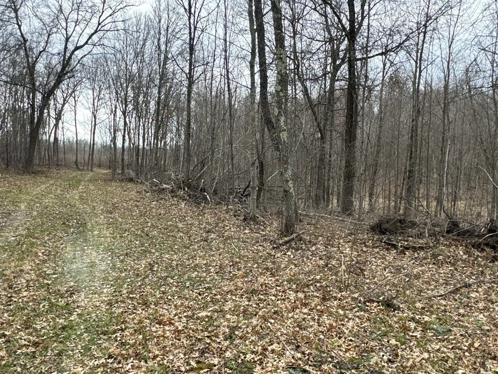 TBD Barrett Trail Trego, WI 54888
