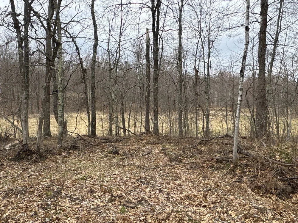 TBD Barrett Trail Trego, WI 54888