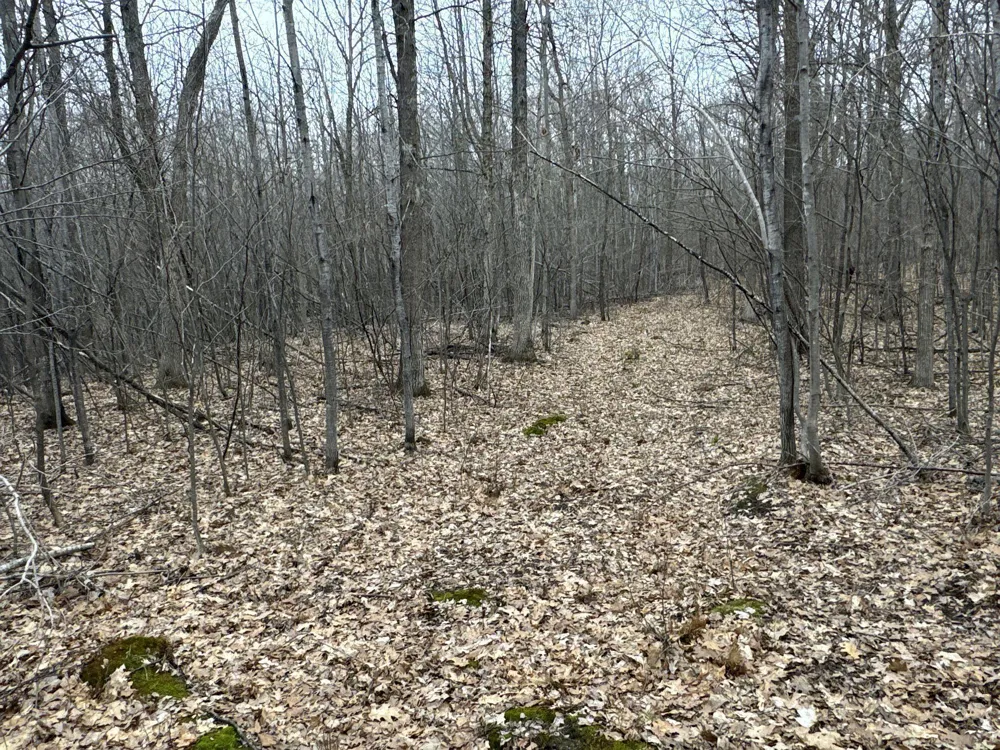 TBD Barrett Trail Trego, WI 54888
