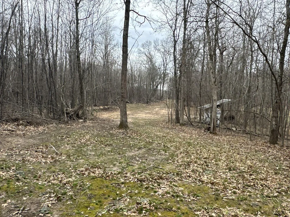 TBD Barrett Trail Trego, WI 54888