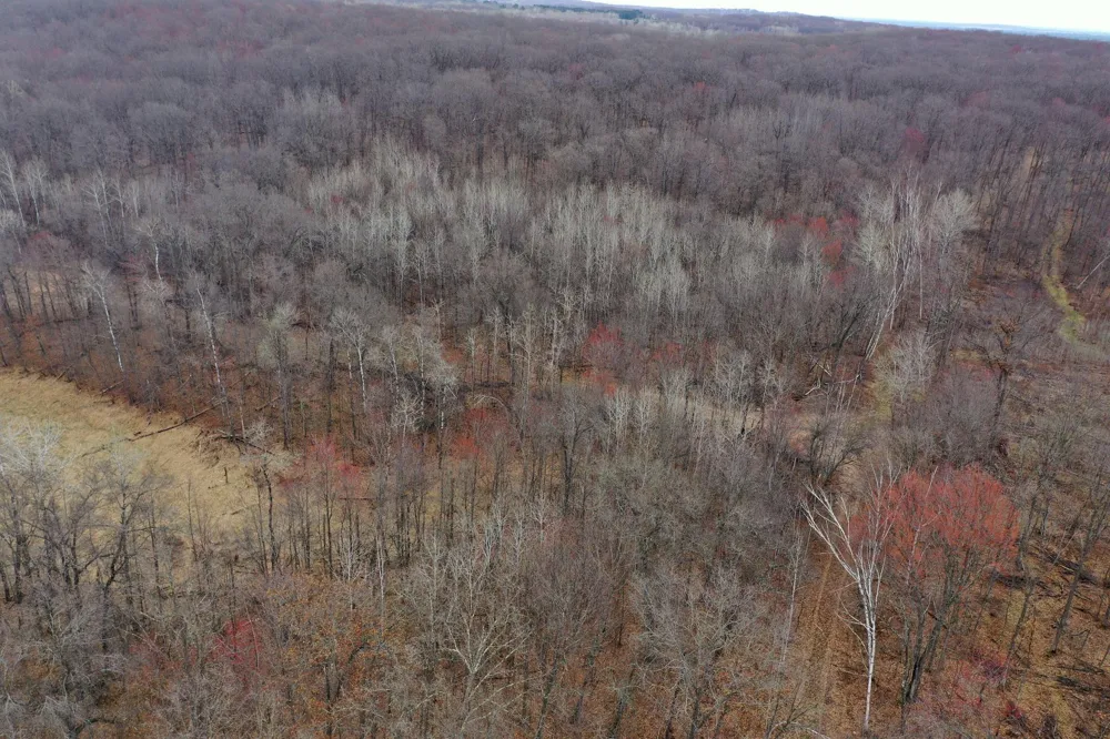 TBD Barrett Trail Trego, WI 54888