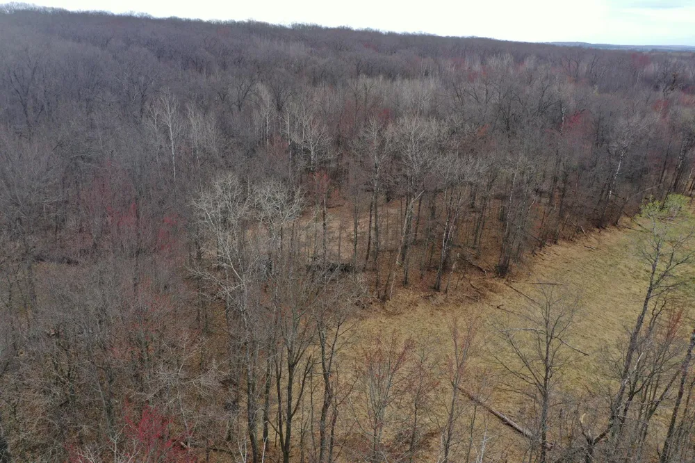 TBD Barrett Trail Trego, WI 54888