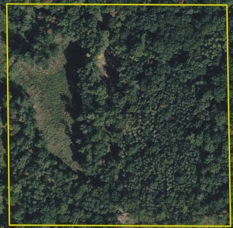 TBD Barrett Trail Trego, WI 54888