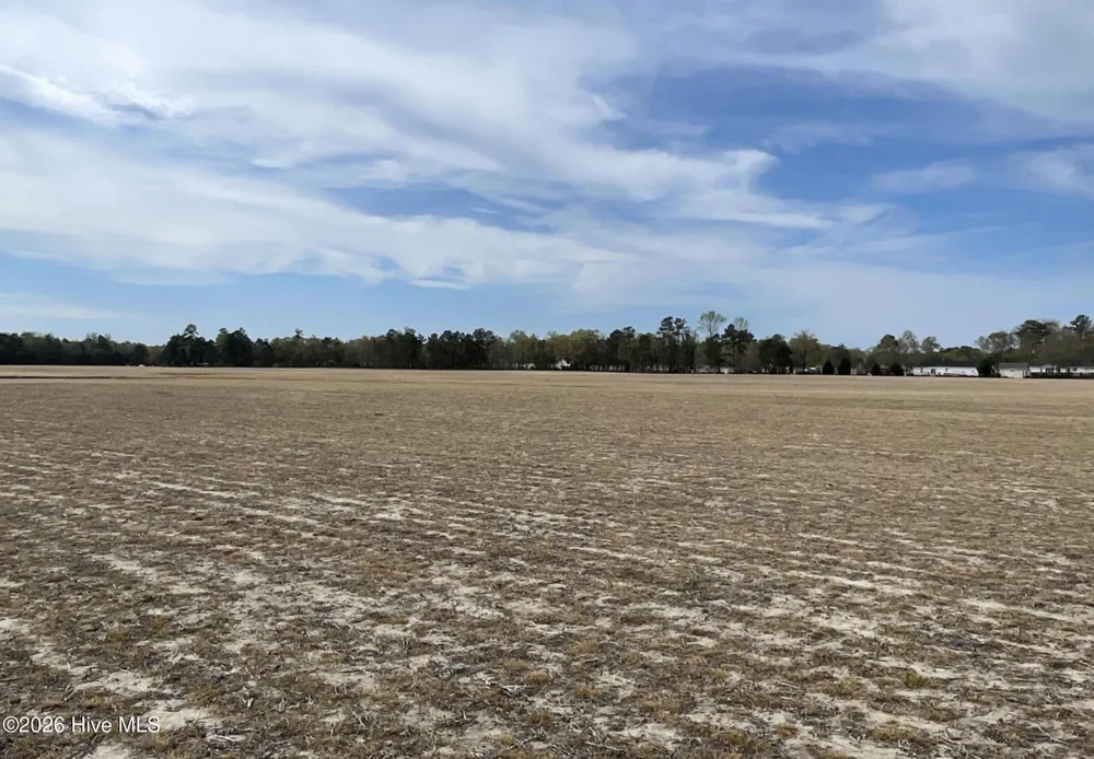 0 Sr 1311 Off Magnolia School Road Washington, NC 27889