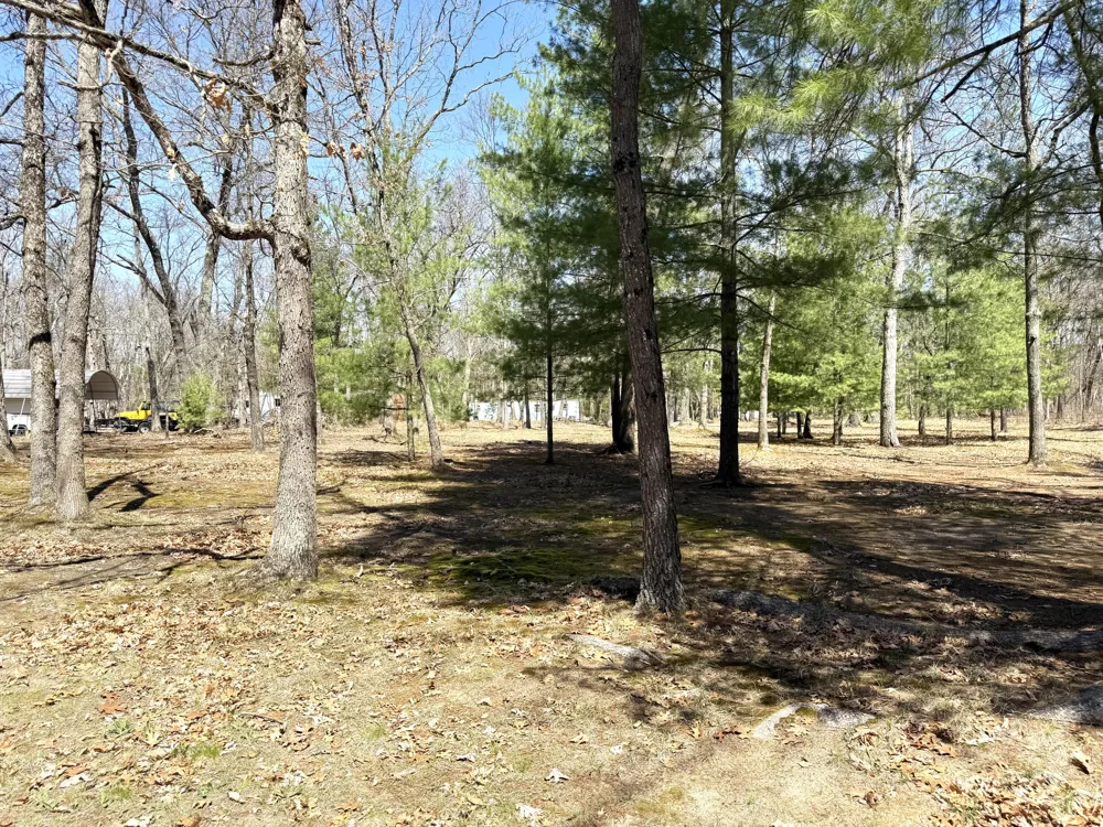 11881 S Winesap Road Lake Township, MI 49304