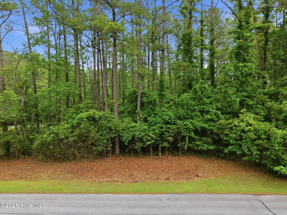 199 Live Oak Lane Washington, NC 27889