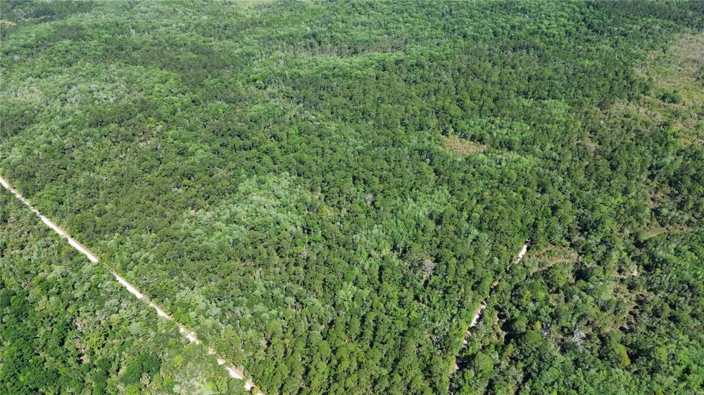 Tract 99 SW CR-347 Chiefland, FL 32644