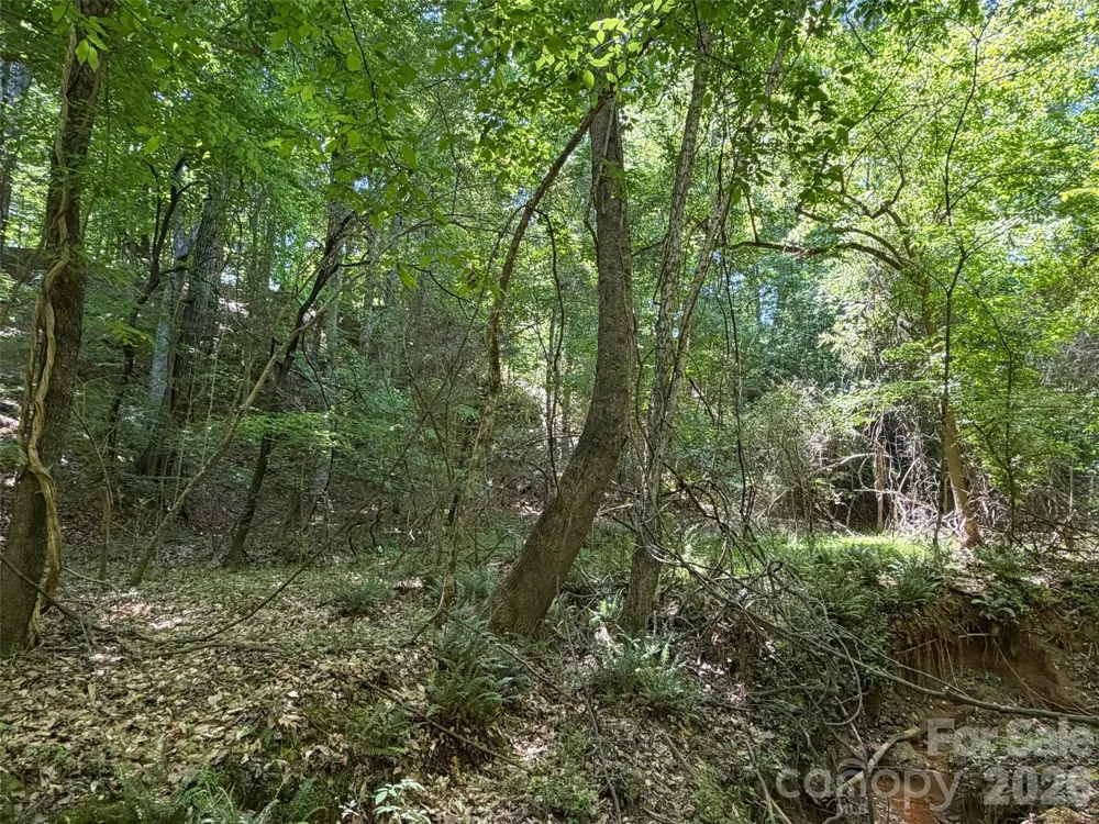 2529 Lockhart Highway Union, SC 29379