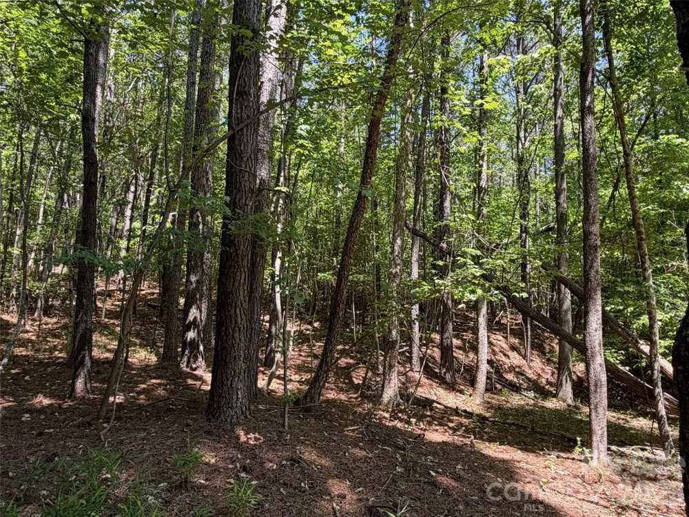 2529 Lockhart Highway Union, SC 29379