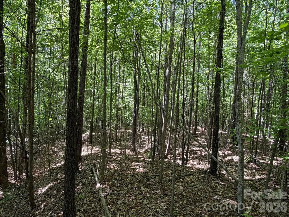 2607 Lockhart Highway Union, SC 29379