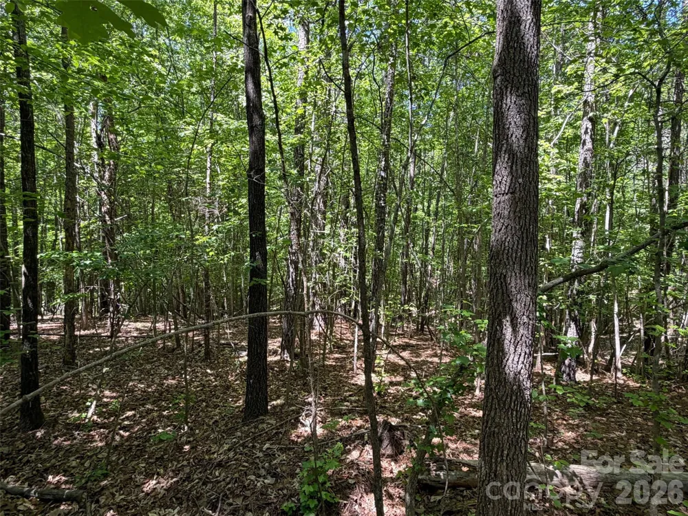 2607 Lockhart Highway Union, SC 29379