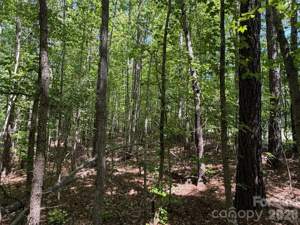 2607 Lockhart Highway Union, SC 29379