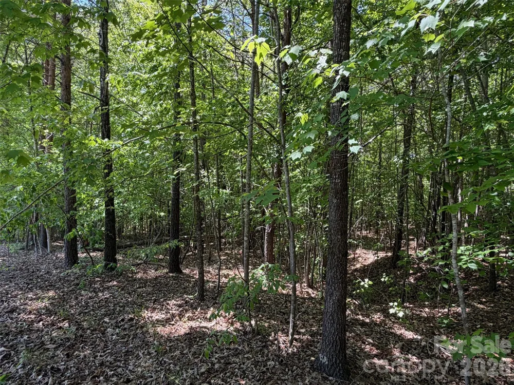 2607 Lockhart Highway Union, SC 29379