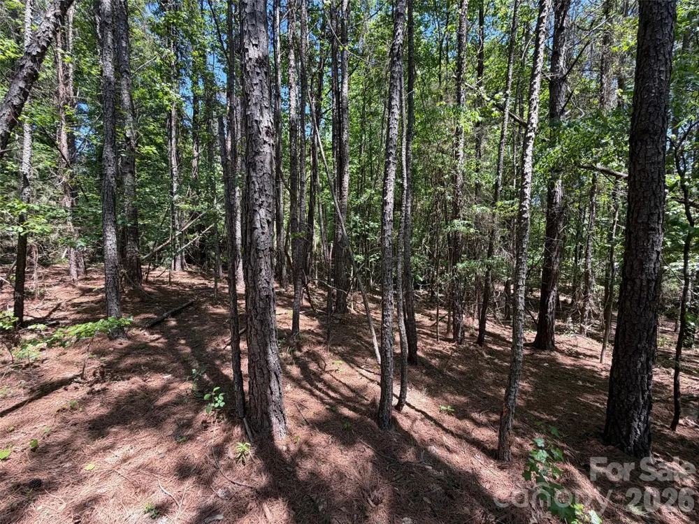 2607 Lockhart Highway Union, SC 29379