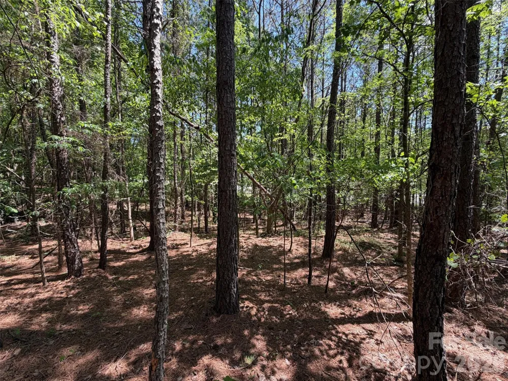 2607 Lockhart Highway Union, SC 29379