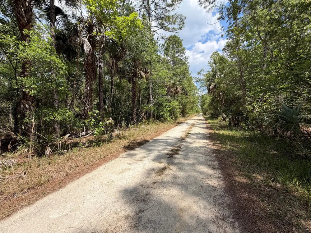 Tract 100 SW CR-347 Chiefland, FL 32644