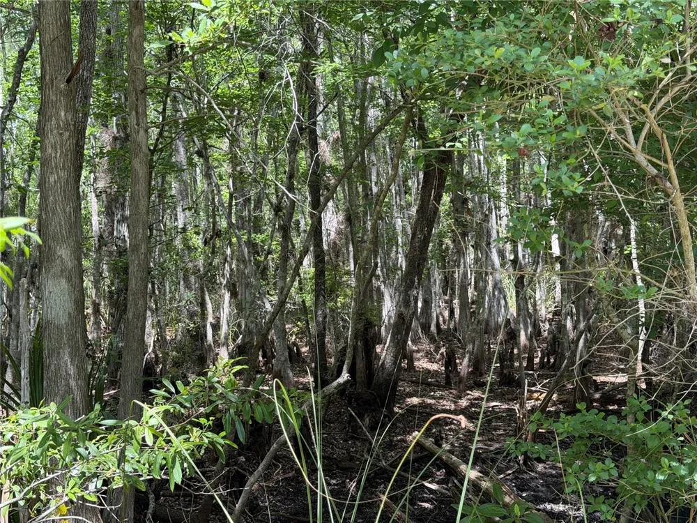 Tract 100 SW CR-347 Chiefland, FL 32644