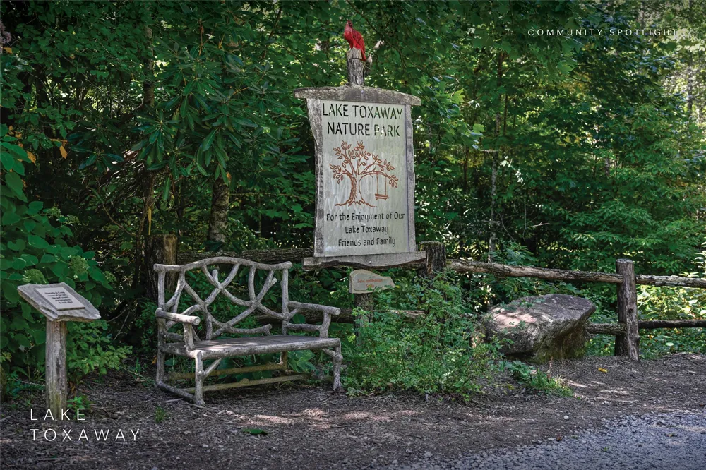 250 Meadow Ridge Drive Lake Toxaway, NC 28747