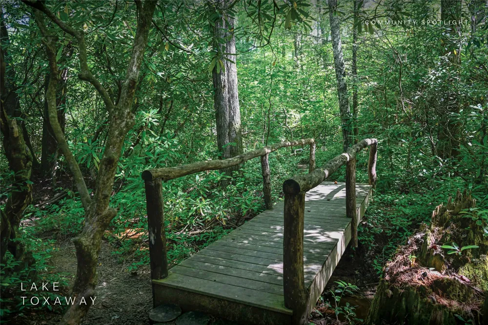 250 Meadow Ridge Drive Lake Toxaway, NC 28747