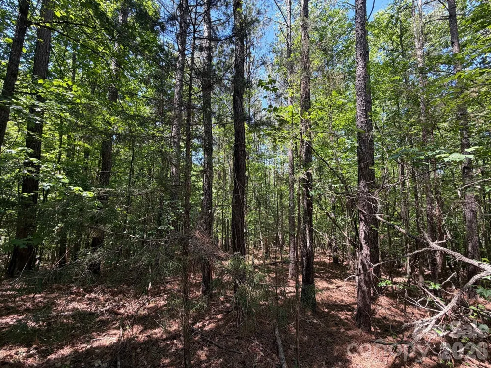 8 AC Lockhart Highway Union, SC 29379