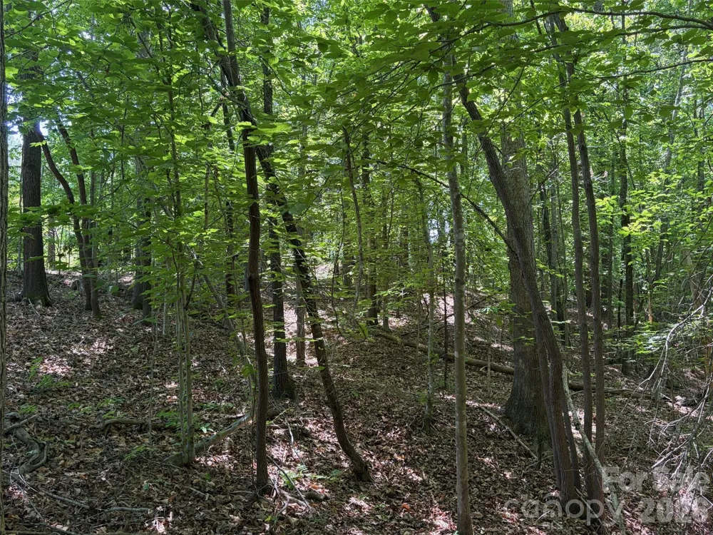 8 AC Lockhart Highway Union, SC 29379