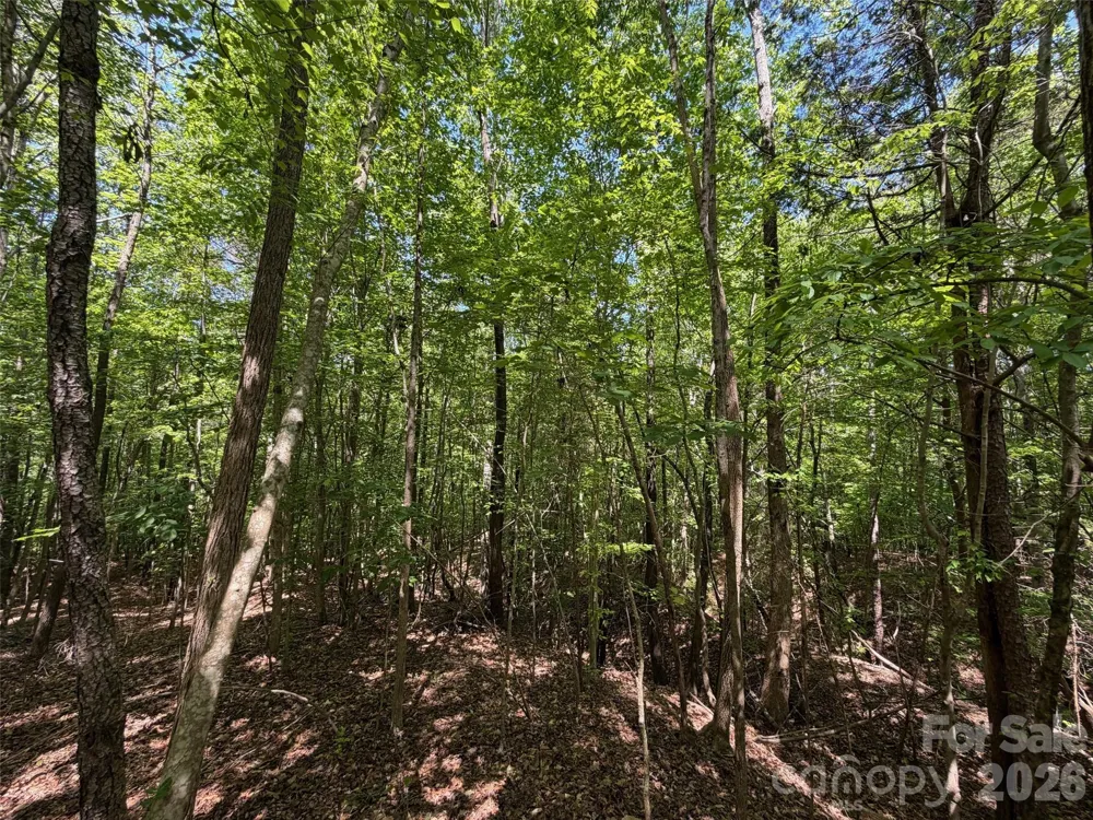 8 AC Lockhart Highway Union, SC 29379