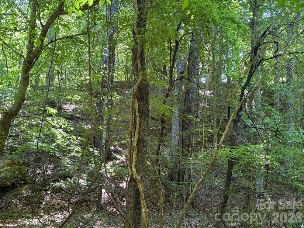 8 AC Lockhart Highway Union, SC 29379