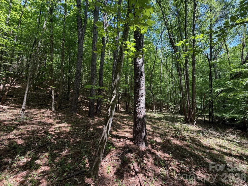 8 AC Lockhart Highway Union, SC 29379