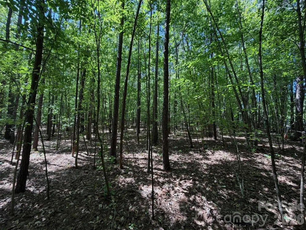 8 AC Lockhart Highway Union, SC 29379