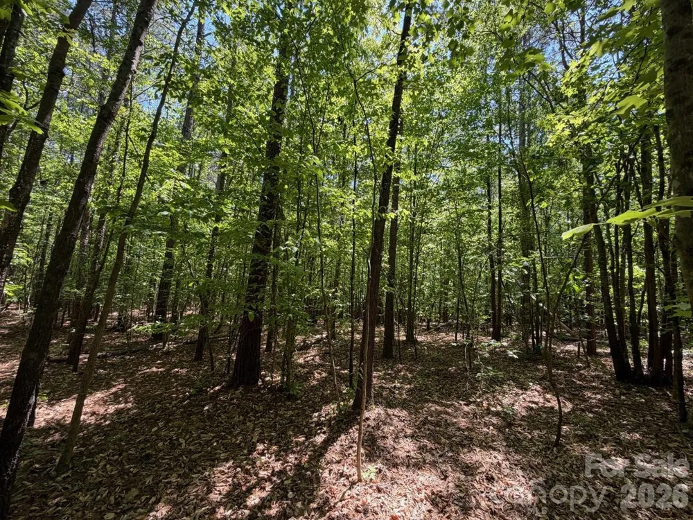 8 AC Lockhart Highway Union, SC 29379
