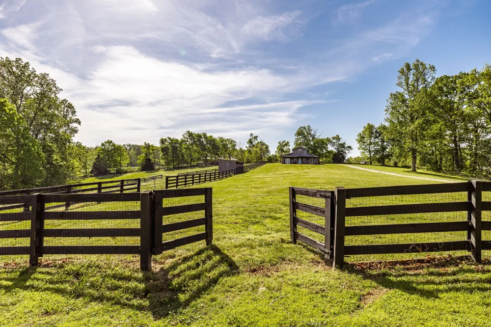 8137 Shoals Branch Rd Primm Springs, TN 38476