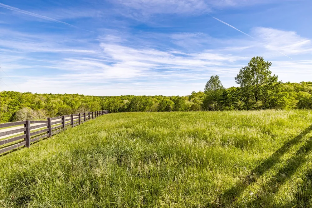 8137 Shoals Branch Rd Primm Springs, TN 38476