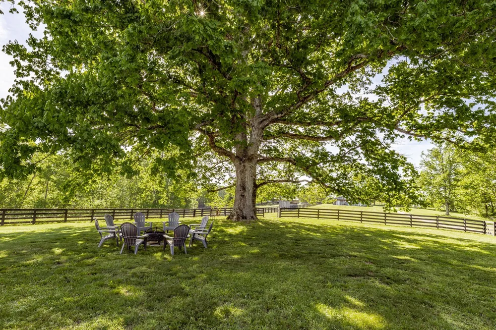 8137 Shoals Branch Rd Primm Springs, TN 38476