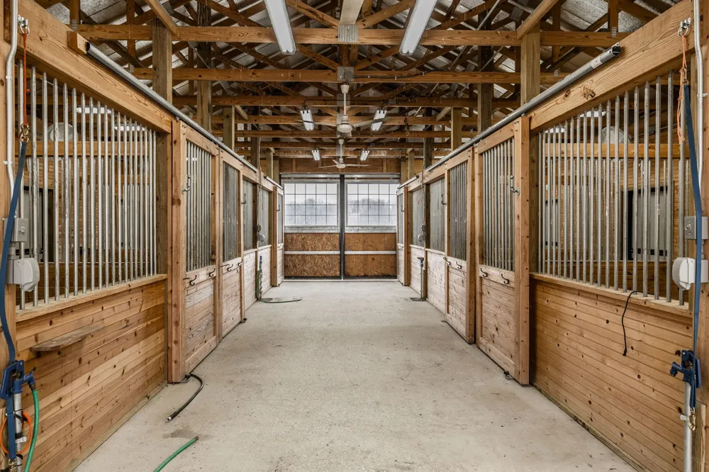 8137 Shoals Branch Rd Primm Springs, TN 38476