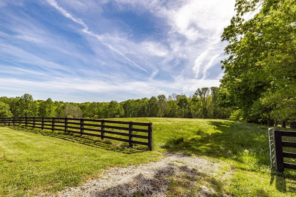 8137 Shoals Branch Rd Primm Springs, TN 38476