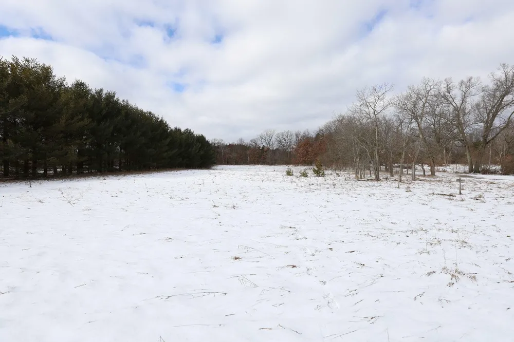 3724 Russell Street NE Cedar Springs, MI 49319