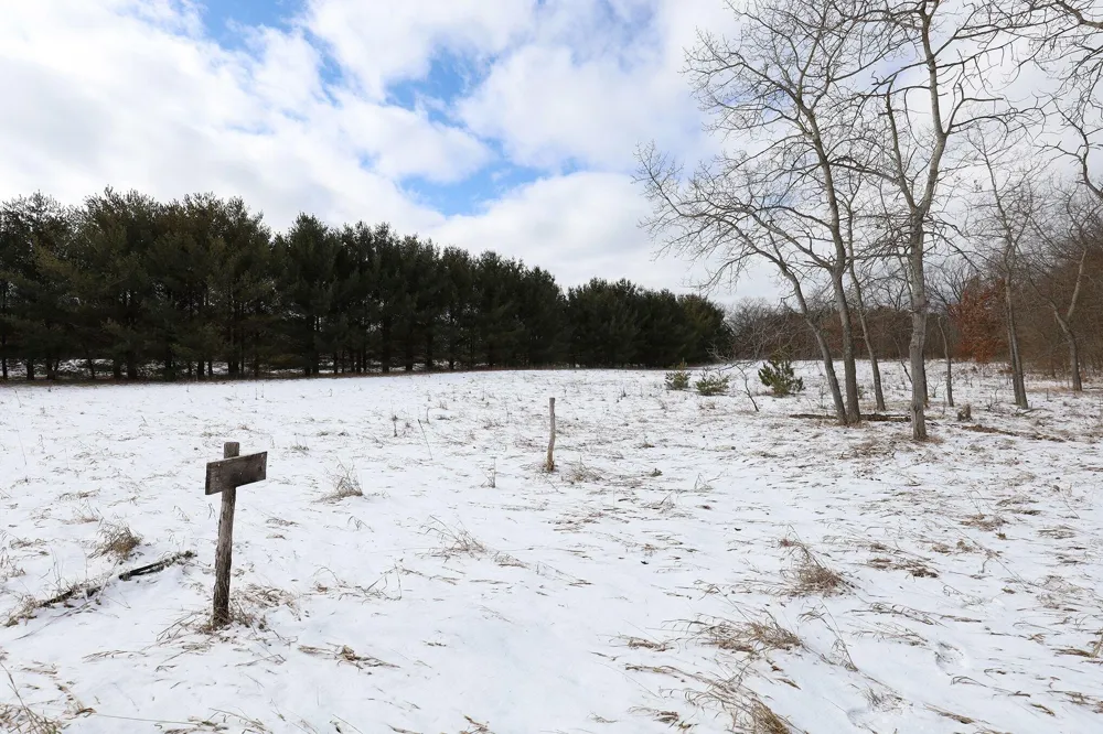 3724 Russell Street NE Cedar Springs, MI 49319