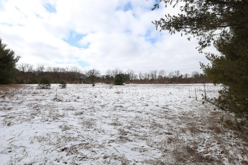3724 Russell Street NE Cedar Springs, MI 49319