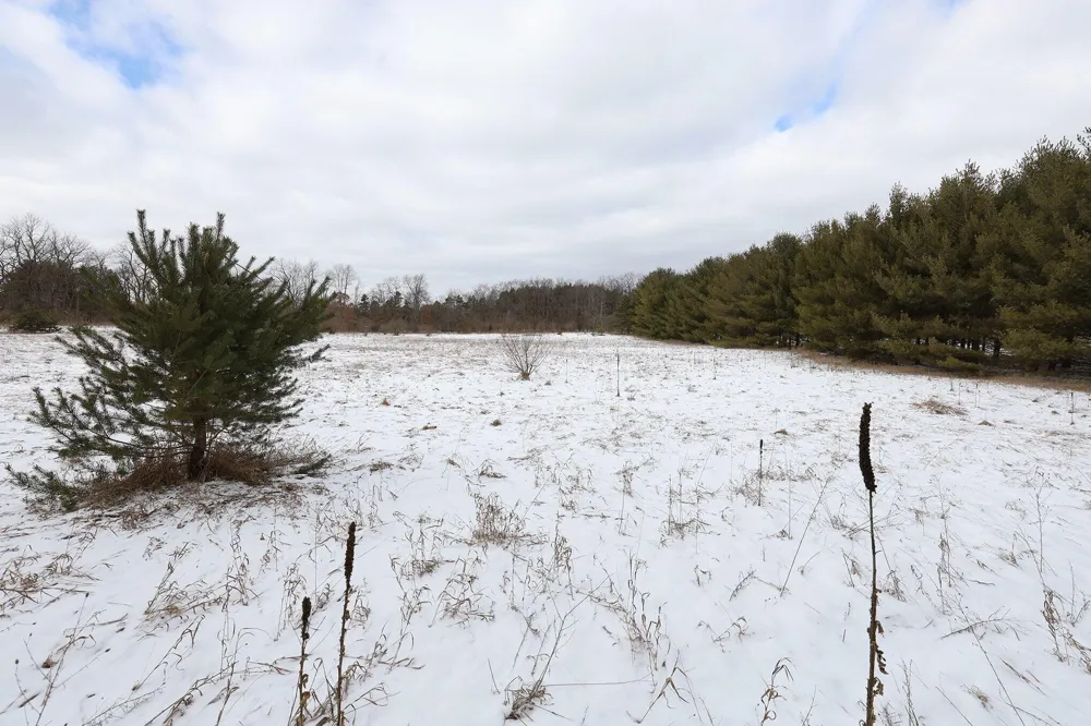 3724 Russell Street NE Cedar Springs, MI 49319