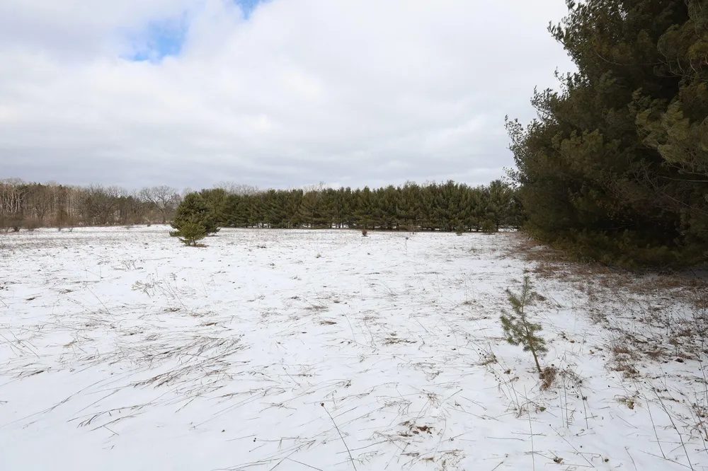 3724 Russell Street NE Cedar Springs, MI 49319