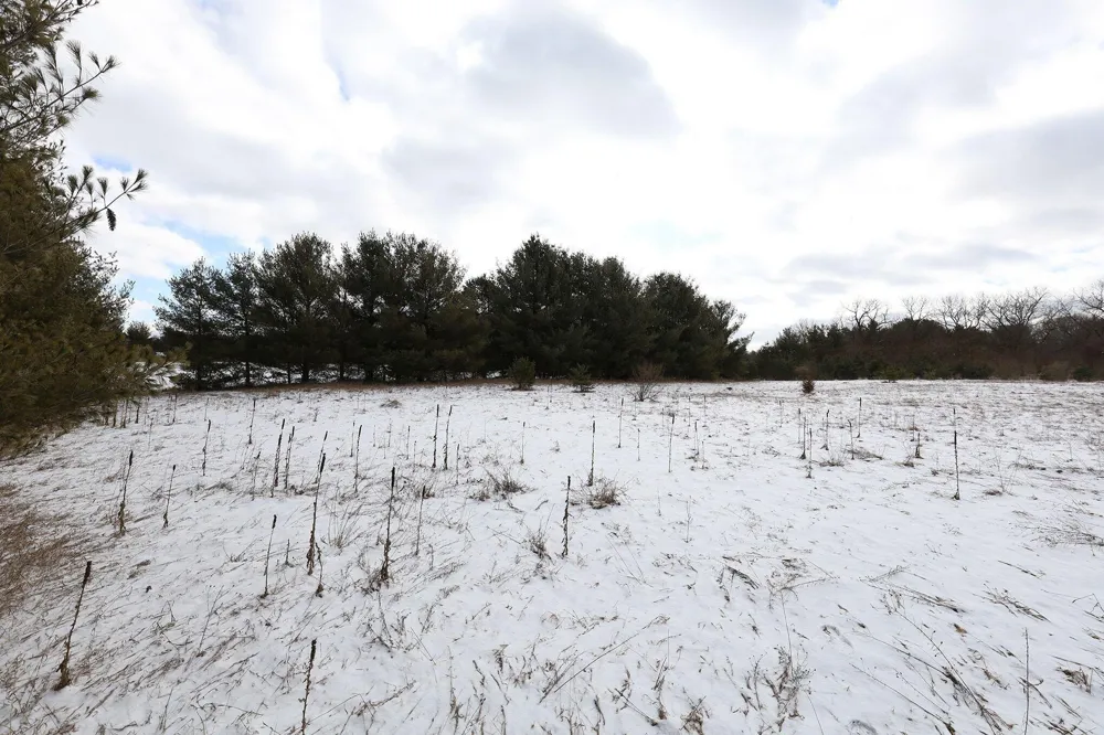 3724 Russell Street NE Cedar Springs, MI 49319