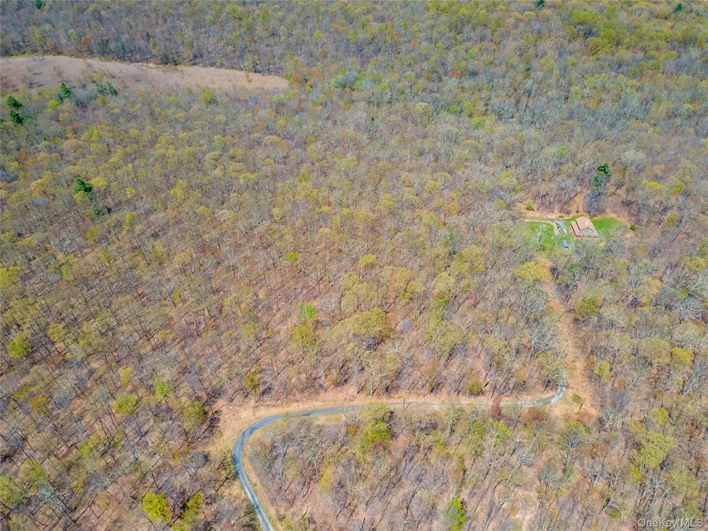 TBD Forest Glen Road Pine Bush, NY 12566